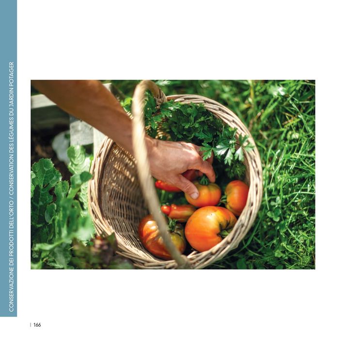 Regarde l'image Conservation des légumes du jardin potager