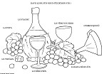 Visualizza immagine uva e vino 