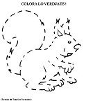 Visualizza immagine scoiattolo 2