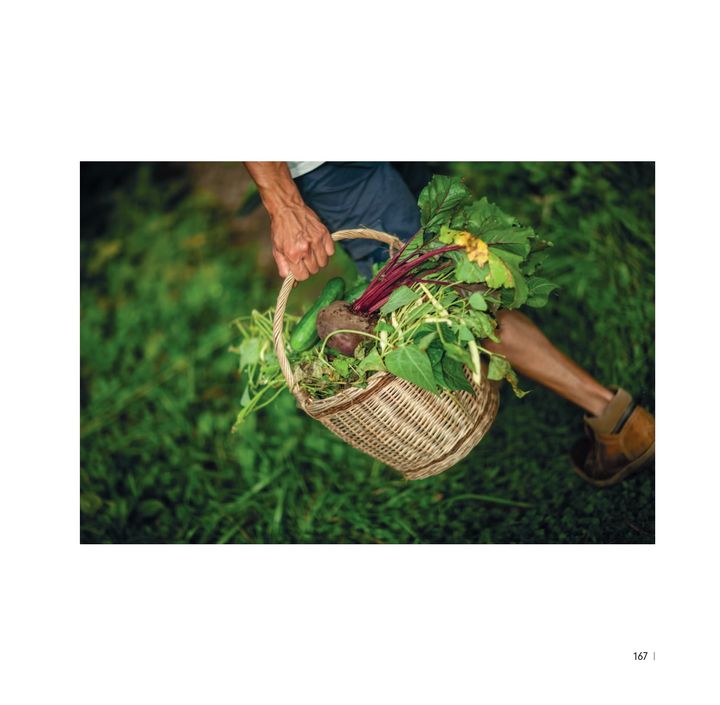 Regarde l'image Conservation des légumes du jardin potager