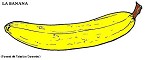Regarde l'image banane