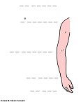 Visualizza immagine braccio esercizio