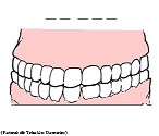 Visualizza immagine denti esercizio