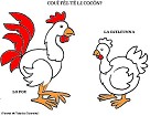 Visualizza immagine gallina gallo
