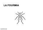 Avétsa l'imadze fourmia