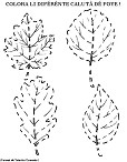 Visualizza immagine foglie