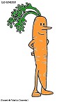 Visualizza immagine carota