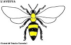 Regarde l'image abeille