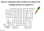 Regarde l'image lapin et carotte - jeu labyrinthe