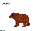 Visualizza immagine orso