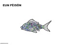 Visualizza immagine pesce
