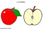 Visualizza immagine mela